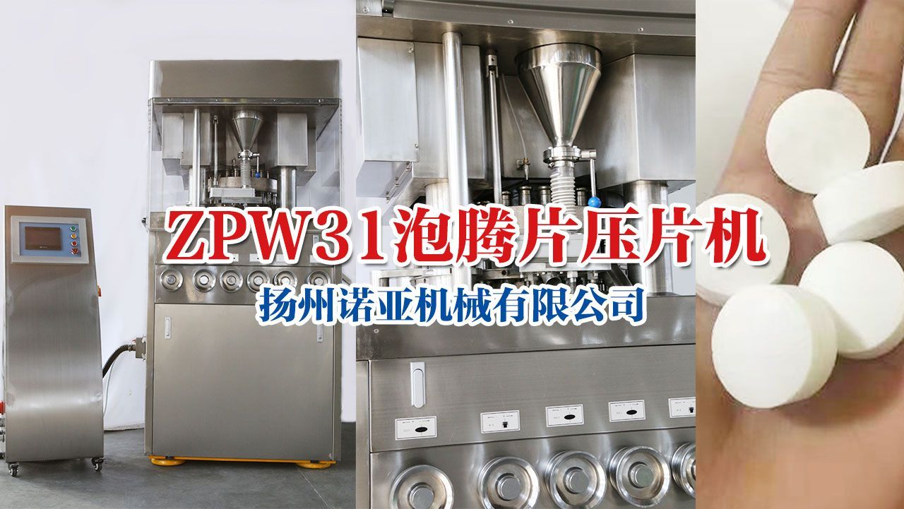 Tablet press machine manufacturer