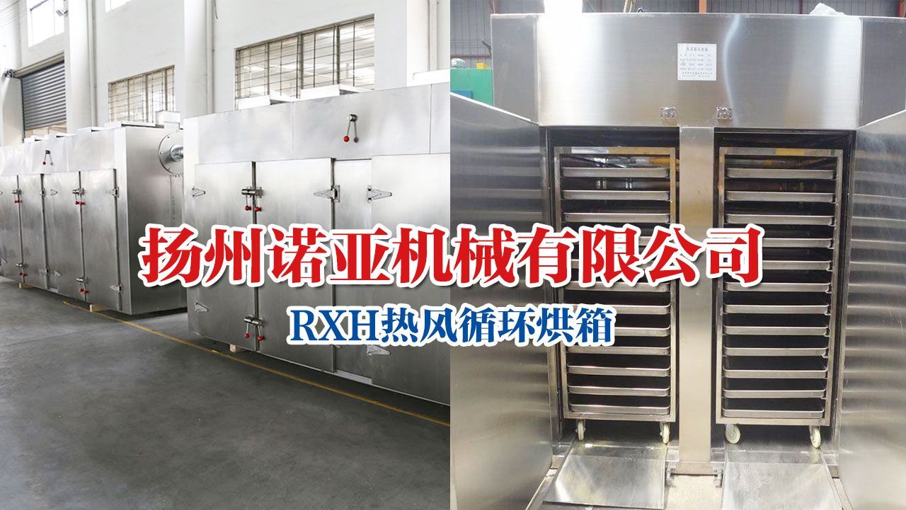 Hot Air Circulation Oven